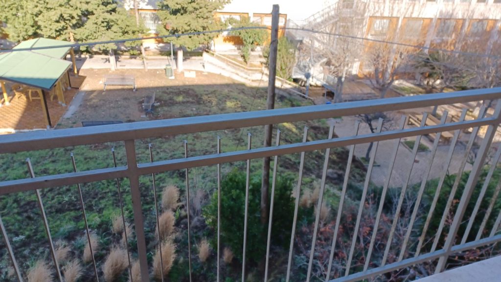Cinghiali all'interno dell'Istituto Palizzi di Vasto: la segnalazione di un lettore 3 Palizzi 2