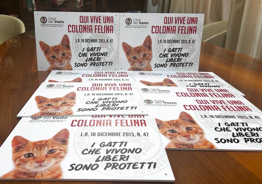 Vasto, consegnata la cartellonistica per le colonie feline 2 12 1
