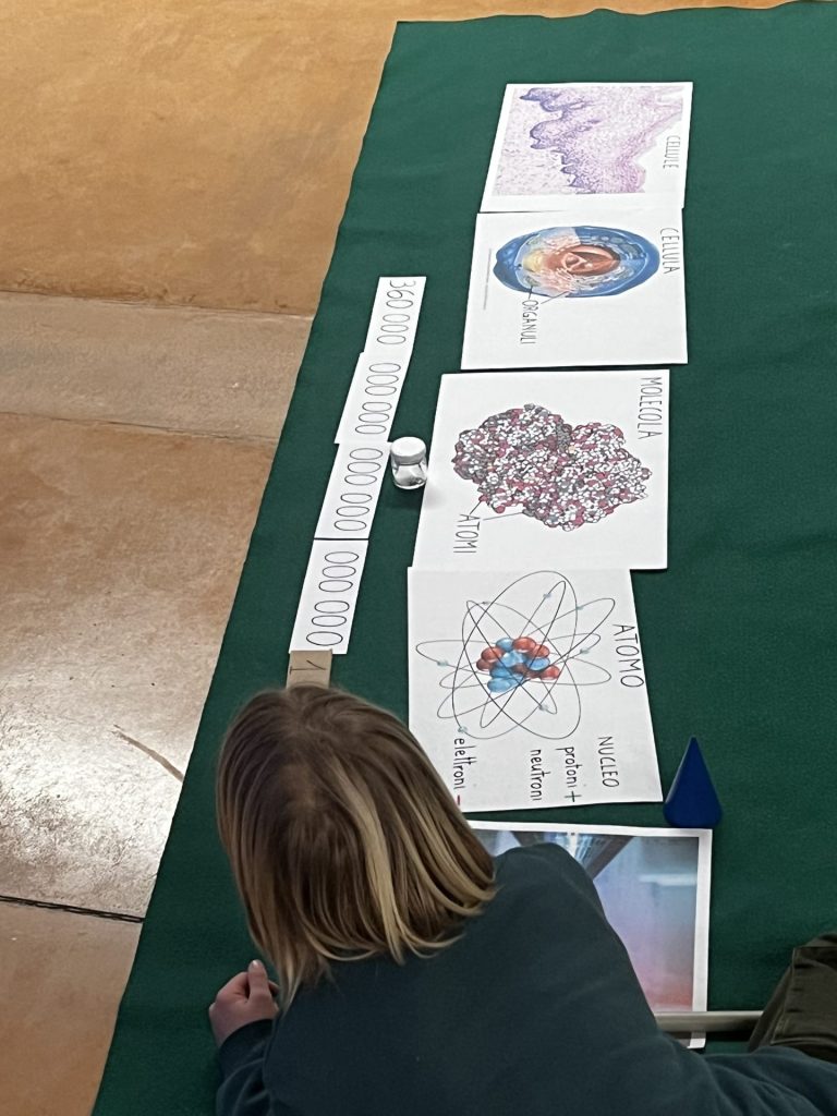 Entusiasmo e successo al secondo appuntamento del Liceo dei bambini a Vasto 8 image00021 1