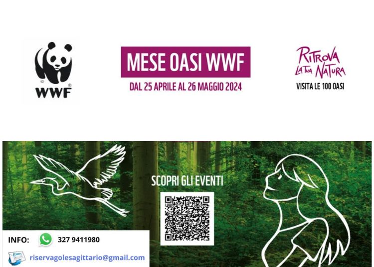 Articolo WP 2024 04 26T123013.547