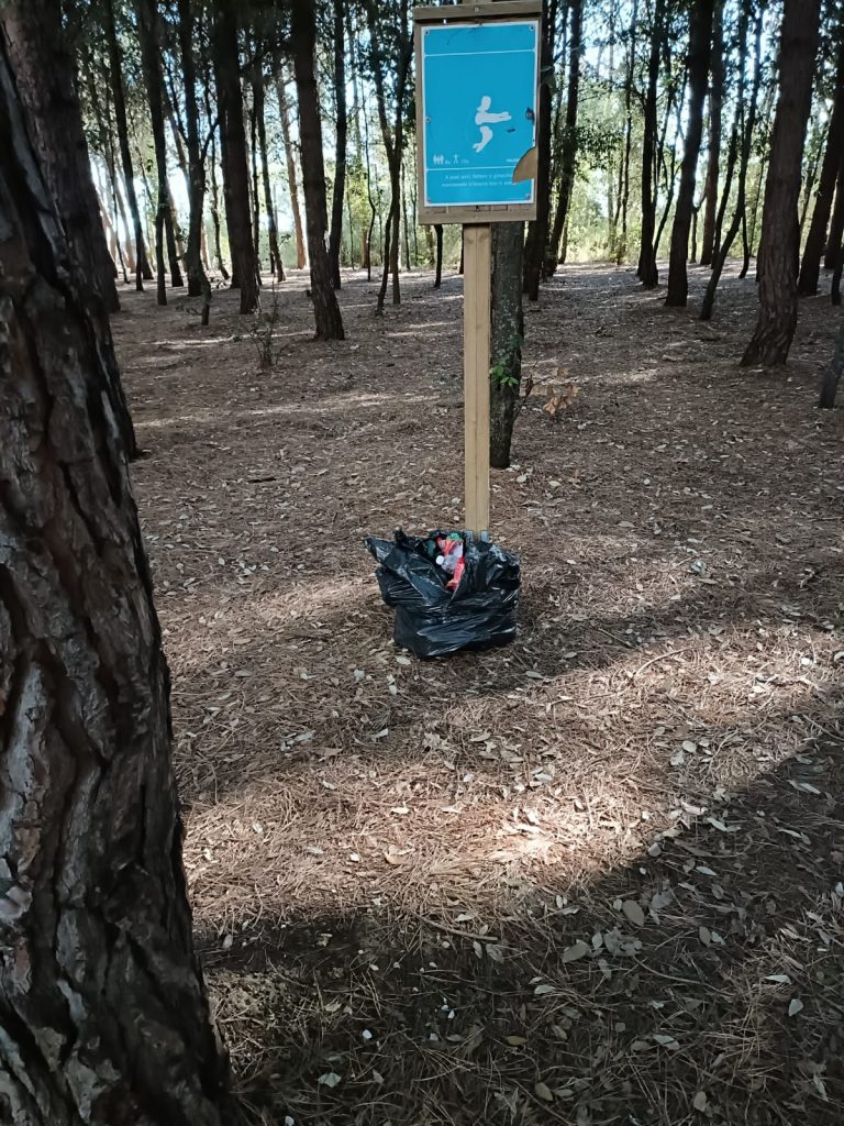 Lecci secchi, incuria e inciviltà: non c'è pace per la riserva Marina di vasto 5 Lecci 4