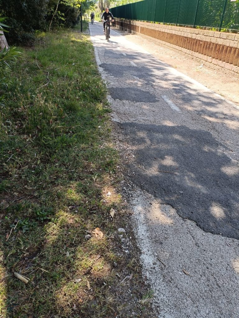 Lecci secchi, incuria e inciviltà: non c'è pace per la riserva Marina di vasto 6 Lecci 5