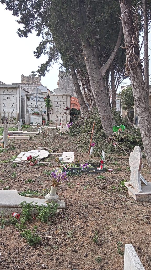 Cimitero di Vasto: «Rami tagliati e lasciati sulle tombe, impossibile raggiungere le lapidi dei propri cari» 2 RAMI CIMITERO 1