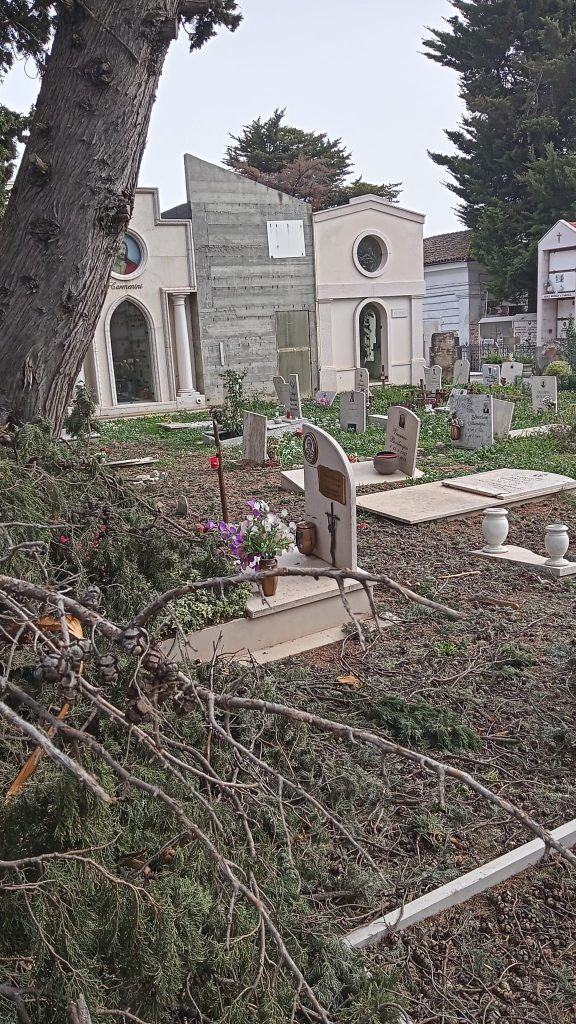 Cimitero di Vasto: «Rami tagliati e lasciati sulle tombe, impossibile raggiungere le lapidi dei propri cari» 4 RAMI CIMITERO 3
