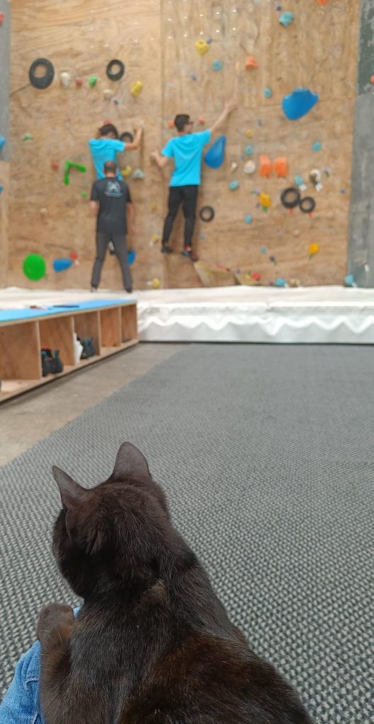 arrampicata 11