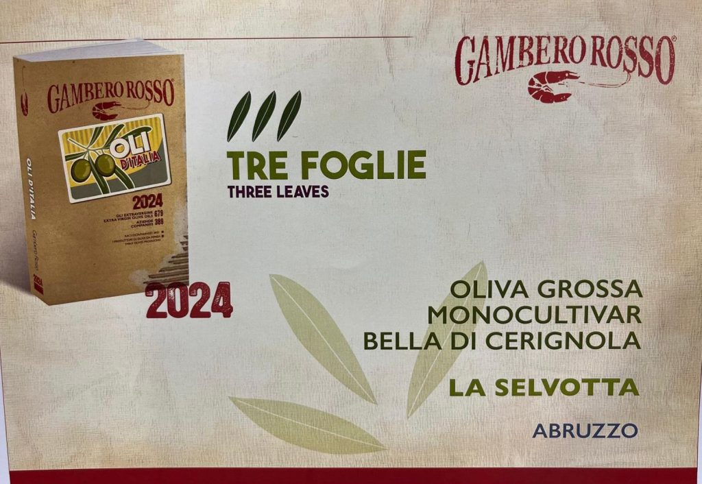 L'extravergine dell'azienda "La Selvotta" di Vasto premiato tra i migliori olii d'Italia 2024 2 selvotta 1
