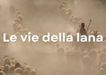 Articolo WP 2024 05 31T095610.473