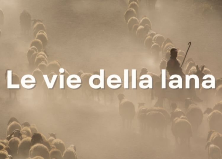 Articolo WP 2024 05 31T095610.473