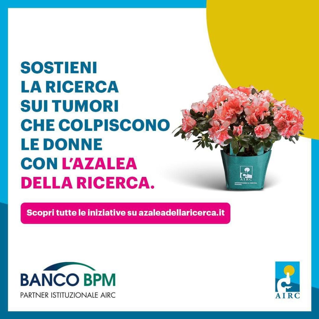Anche a Cupello torna l'Azalea della ricerca 3 Azalea AIRC