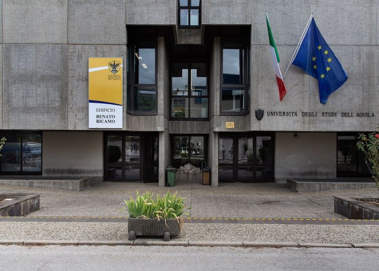 Articolo WP 10