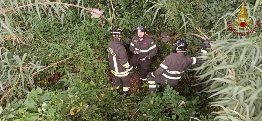 Venafro, salvati gattini in un torrente 3 IMG 5923 W