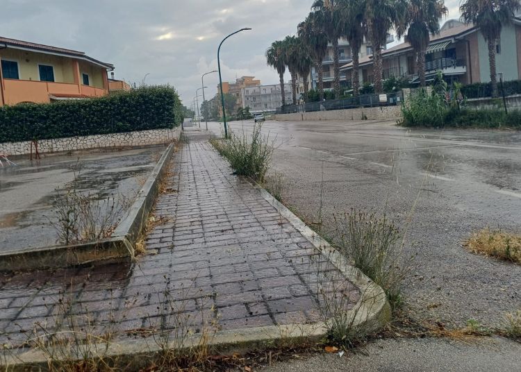 «San Salvo Marina abbandonata. Manutenzione assente. Pessimo inizio di stagione» 2 Progetto senza titolo 2024 06 28T213228.968 1
