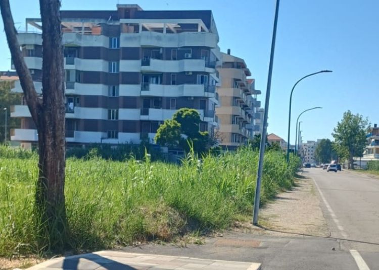«San Salvo Marina abbandonata. Manutenzione assente. Pessimo inizio di stagione» 3 Progetto senza titolo 2024 06 28T213444.991