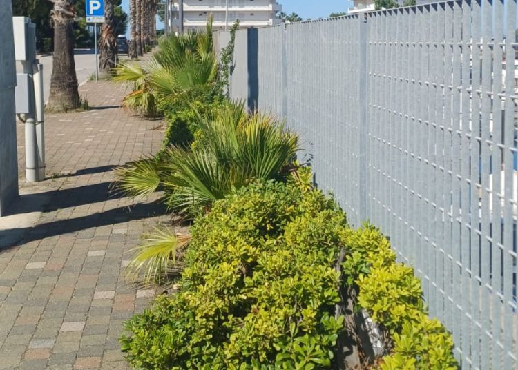 «San Salvo Marina abbandonata. Manutenzione assente. Pessimo inizio di stagione» 4 Progetto senza titolo 2024 06 28T213527.980 1