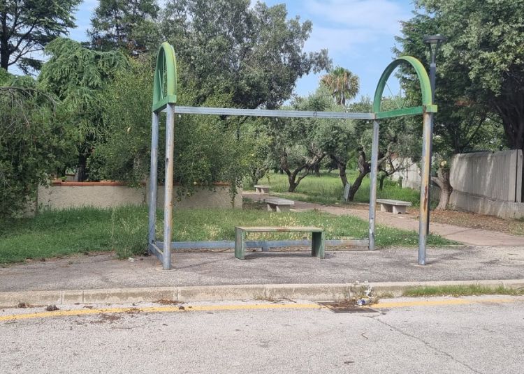 Articolo WP 2024 07 10T100948.405