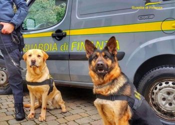 Articolo WP 2024 07 25T092337.995
