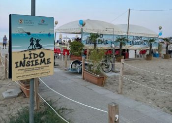 Articolo WP 95