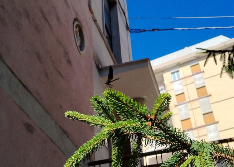 Progetto senza titolo 2024 08 03T105433.539