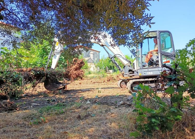 Progetto senza titolo 2024 08 05T114726.425
