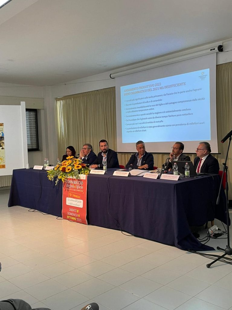 Tornareccio, tutto pronto per la diciottesima edizione di Regina di Miele 3 Regina di miele 2