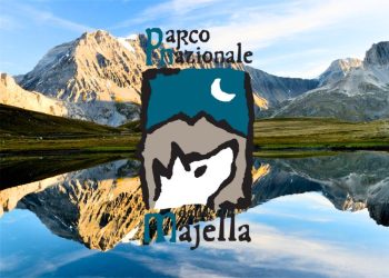 Articolo WP 2024 09 17T164305.680