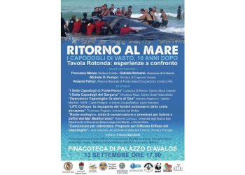 Progetto senza titolo 2024 09 09T171513.308