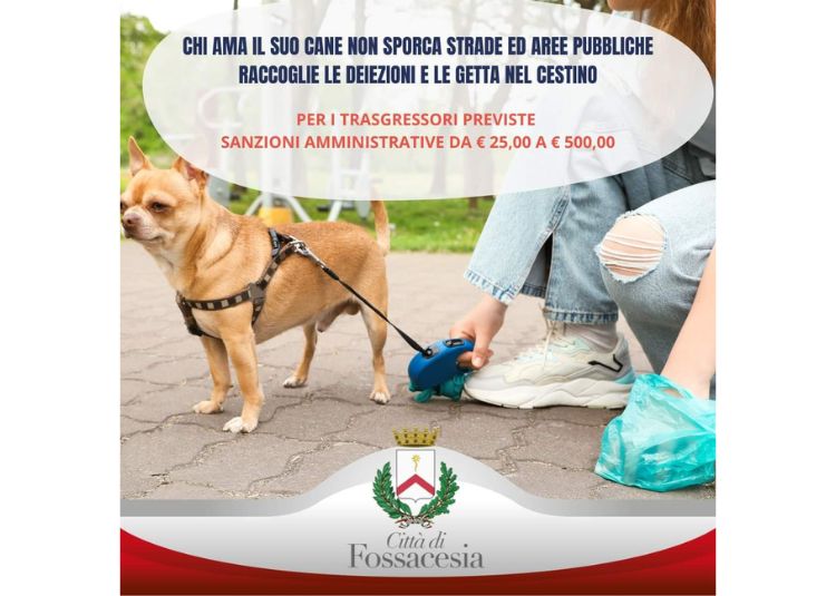 Progetto senza titolo 2024 09 14T152021.829