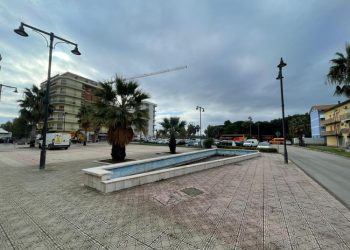 Articolo WP 2024 10 21T110429.819