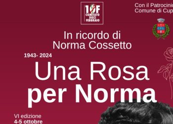 Progetto senza titolo 2024 10 04T140735.013