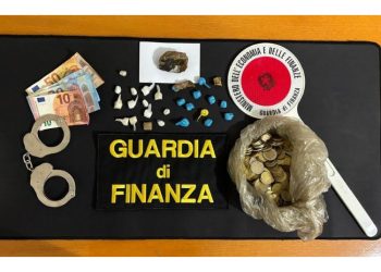 Articolo WP 2024 11 14T182915.102