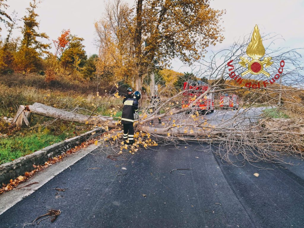 Ondata di maltempo, oltre 15 interventi dei Vigili del Fuoco in provincia di Campobasso 3 IMG 20241122 WA0006