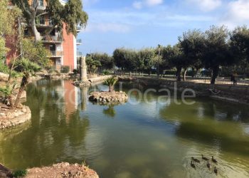 Progetto senza titolo 2024 11 03T204446.475