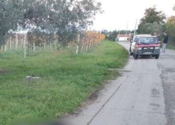Progetto senza titolo 2024 11 29T211842.048