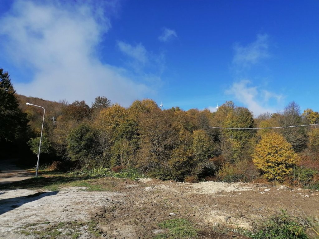 Eredità giacente: in vendita dodici immobili tra Vasto e altri comuni del Vastese 8 Terreno Lotto 1 Montenferrante