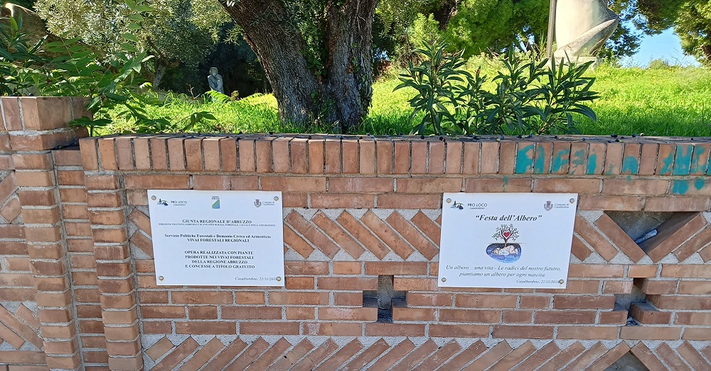 A Casalbordino torna la "Festa dell'Albero" dedicata ai nuovi nati 2 proloco19nov24
