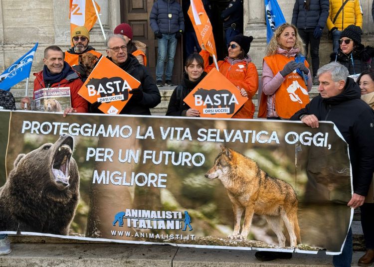 Progetto senza titolo 2024 12 23T182903.521