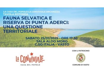 Articolo WP 2025 01 24T144935.958