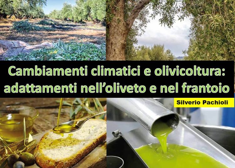 Articolo WP 2025 01 27T174706.969