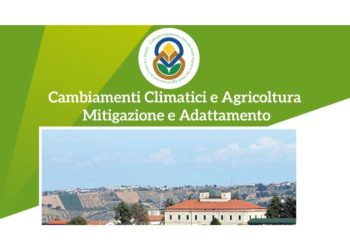 Articolo WP 2025 02 23T091818.618