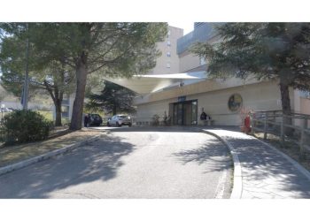 Articolo WP 2025 02 25T120239.329