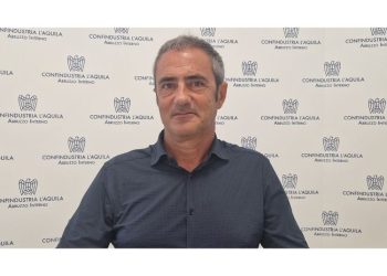 Articolo WP 24