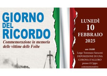 Articolo WP 34