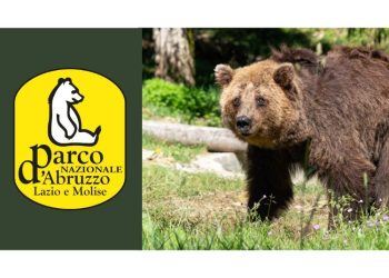 Articolo WP 2025 03 19T150407.068