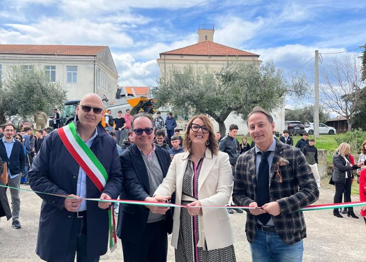Progetto senza titolo 2025 03 15T155729.748