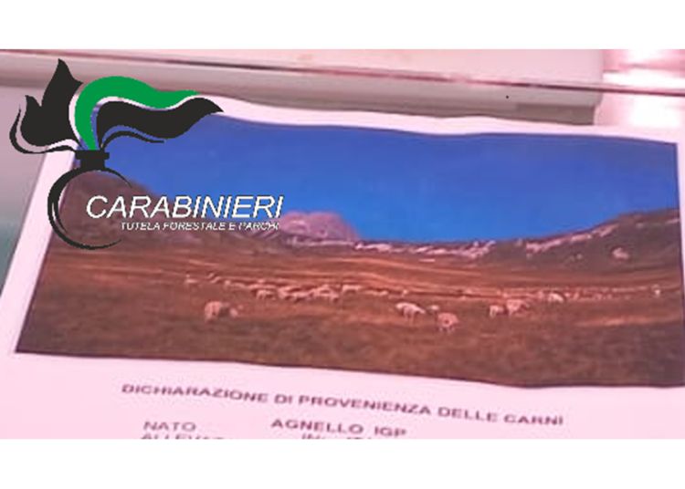 Articolo WP 2025 04 18T194042.980