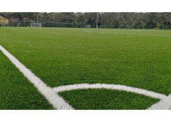 Articolo WP 2025 05 04T114420.678