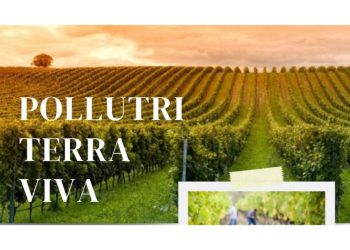 Progetto senza titolo 2025 05 10T143036.660