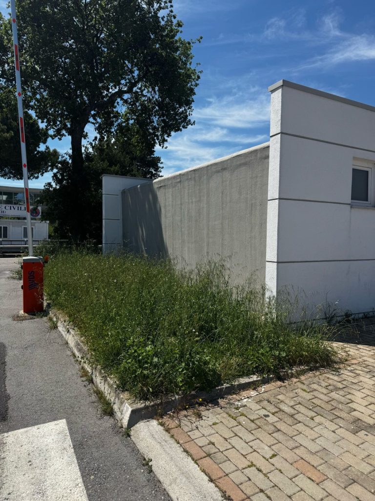 Terminal bus in balia dei vandali, FdI: «Fallimento dell'amministrazione comunale» 7 WhatsApp Image 2025 05 04 at 11.29.23 2 1 1