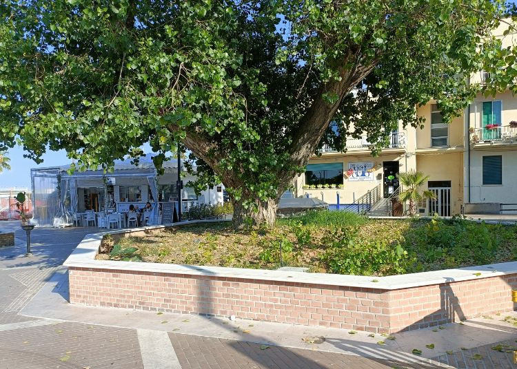 Progetto senza titolo 2025 06 24T124937.198