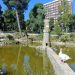 Progetto senza titolo 21
